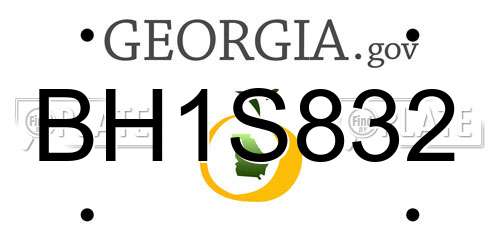 BH1S832 Georgia License Plate