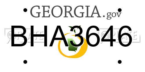 BHA3646 Georgia License Plate