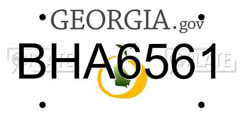 BHA6561 Georgia License Plate