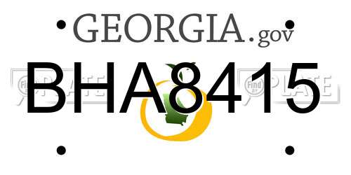 BHA8415 Georgia License Plate