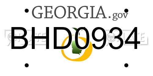 BHD0934 Georgia License Plate