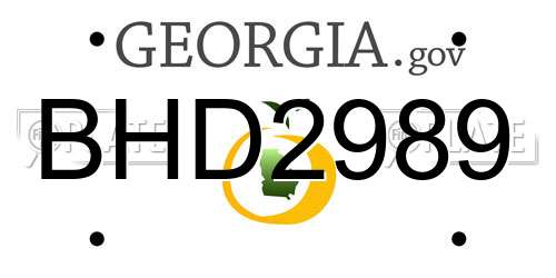 BHD2989 Georgia License Plate