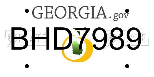 BHD7989 Georgia License Plate