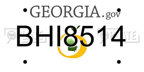 BHI8514 Georgia License Plate