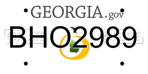 BHO2989 Georgia License Plate