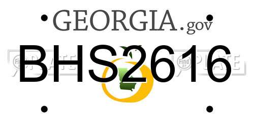 BHS2616 Georgia License Plate