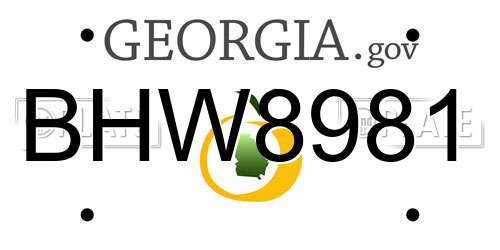 BHW8981 Georgia License Plate