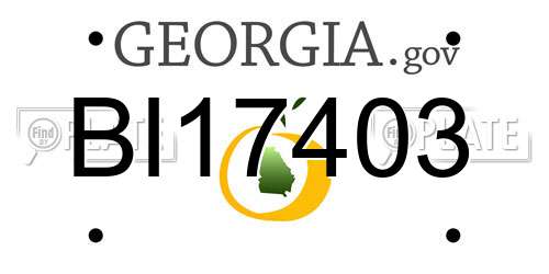 BI17403 Georgia License Plate