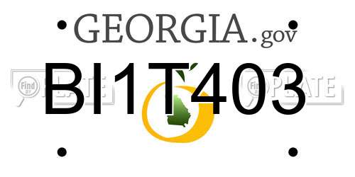 BI1T403 Georgia License Plate
