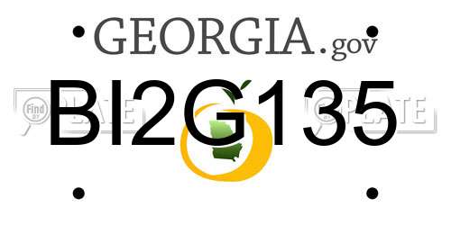 BI2G135 Georgia License Plate