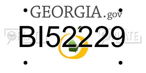 BI52229 Georgia License Plate