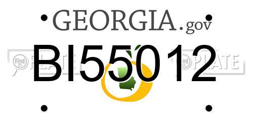 BI55012 Georgia License Plate
