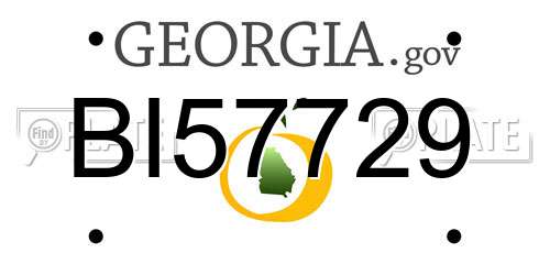 BI57729 Georgia License Plate