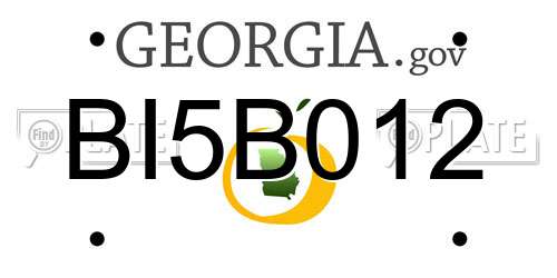 BI5B012 Georgia License Plate