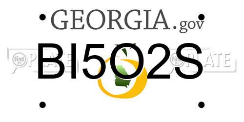 BI5O2S Georgia License Plate