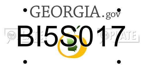 BI5S017 Georgia License Plate