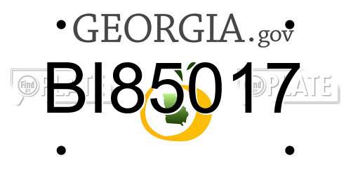 BI85017 Georgia License Plate