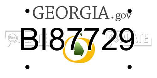 BI87729 Georgia License Plate