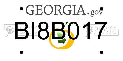 BI8B017 Georgia License Plate