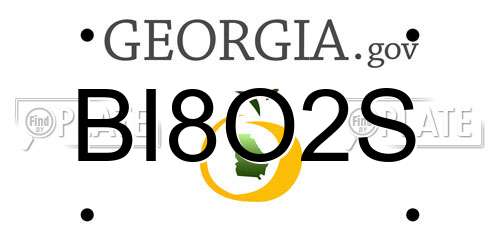 BI8O2S Georgia License Plate