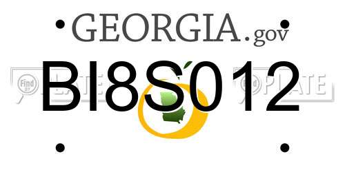 BI8S012 Georgia License Plate