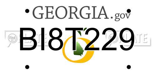 BI8T229 Georgia License Plate