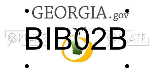 BIB02B Georgia License Plate