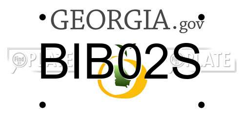 BIB02S Georgia License Plate