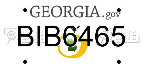 BIB6465 Georgia License Plate