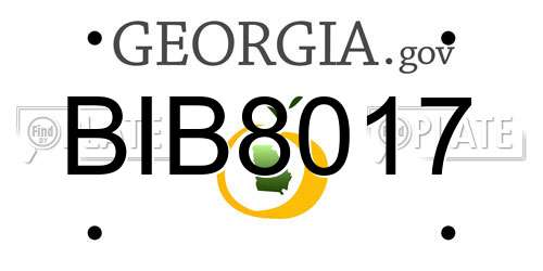 BIB8017 Georgia License Plate