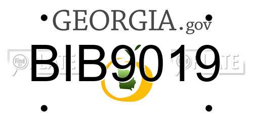 BIB9019 Georgia License Plate