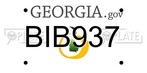 BIB937 Georgia License Plate