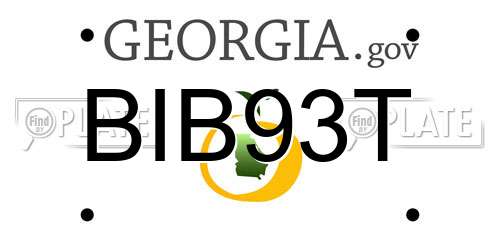 BIB93T Georgia License Plate