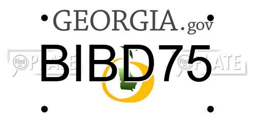 BIBD75 Georgia License Plate