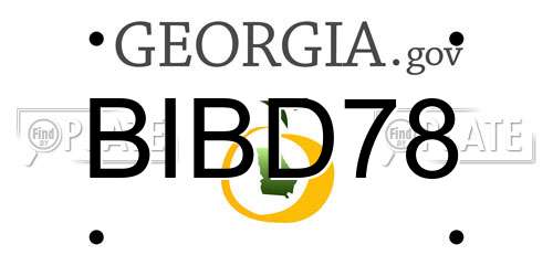 BIBD78 Georgia License Plate