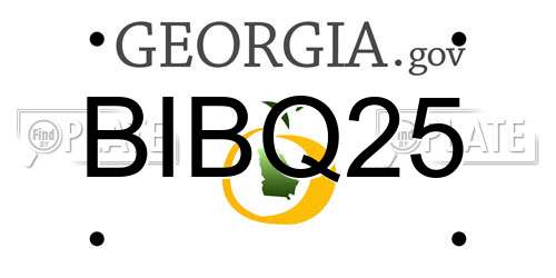 BIBQ25 Georgia License Plate