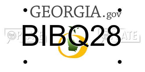 BIBQ28 Georgia License Plate