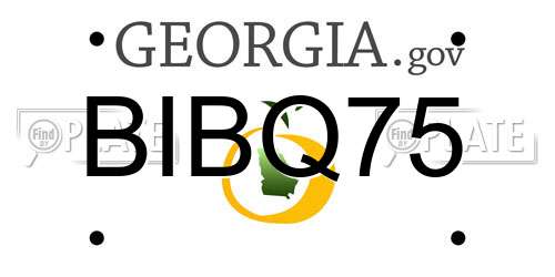 BIBQ75 Georgia License Plate
