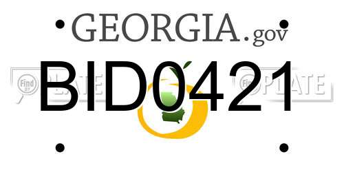 BID0421 Georgia License Plate
