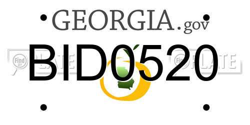 BID0520 Georgia License Plate