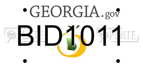 BID1011 Georgia License Plate
