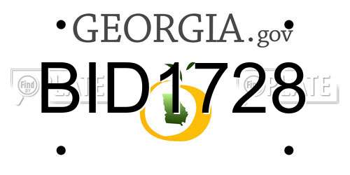 BID1728 Georgia License Plate
