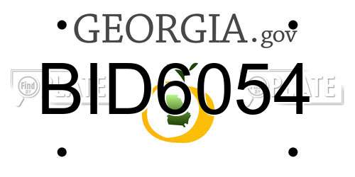 BID6054 Georgia License Plate