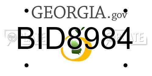 BID8984 Georgia License Plate