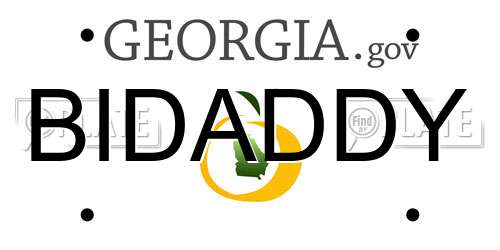 BIDADDY Georgia License Plate