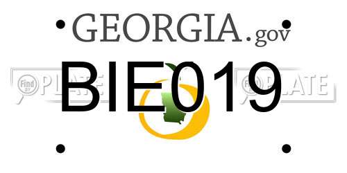 BIE019 Georgia License Plate