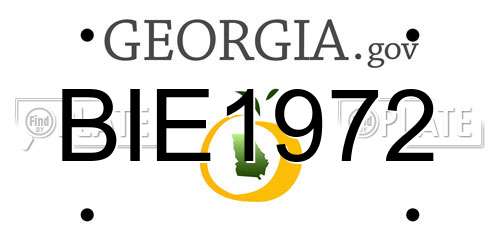 BIE1972 Georgia License Plate