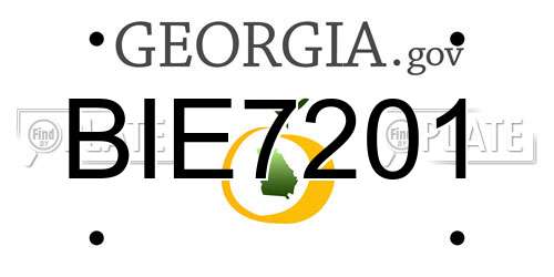 BIE7201 Georgia License Plate