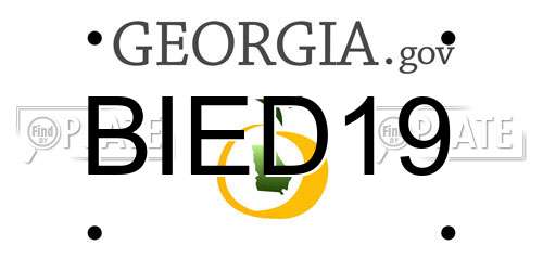 BIED19 Georgia License Plate