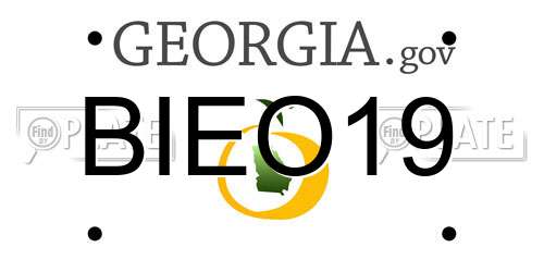 BIEO19 Georgia License Plate